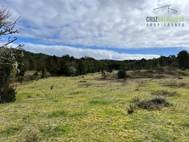 Parcela en venta en Quemchi — foto 5