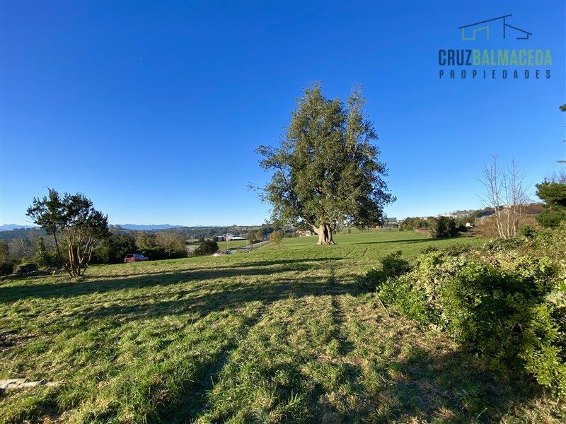 Parcela en venta en Puerto Varas — foto 4