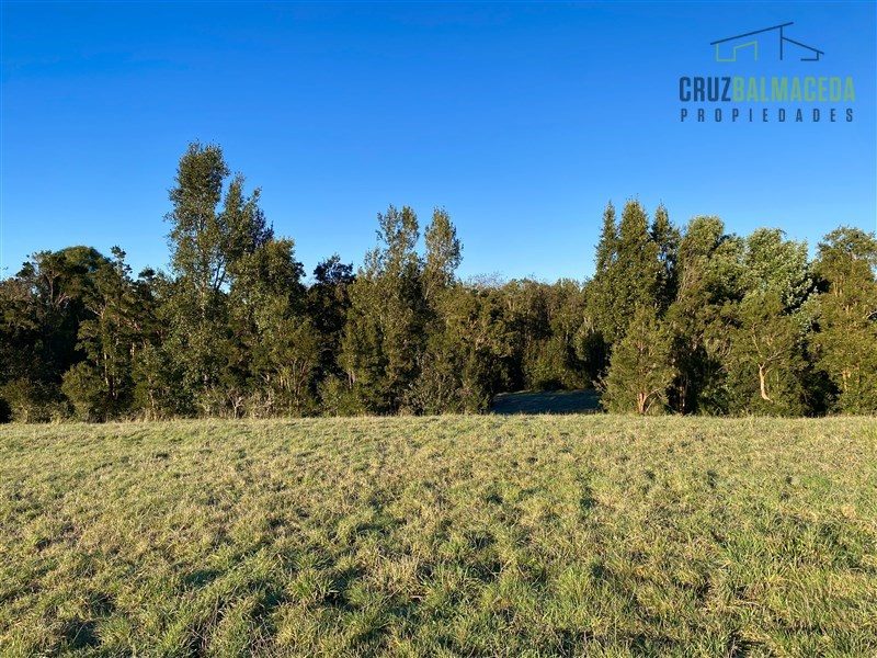 Parcela en venta en Puerto Varas — foto 2