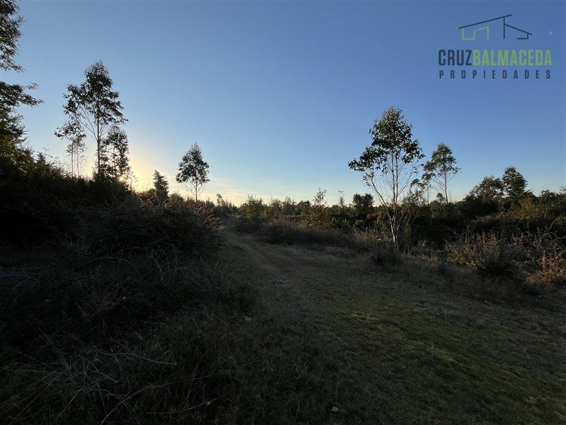 Parcela en venta en Puerto Montt — foto 7