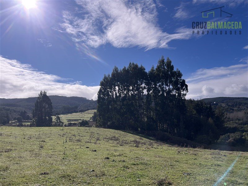 Parcela en venta en La Unión — foto 9
