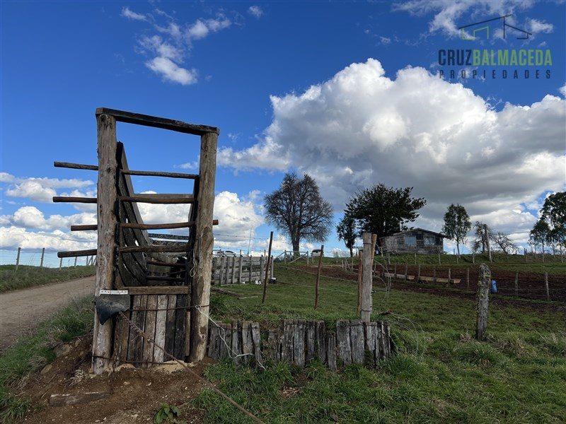 Parcela en venta en Los Muermos — foto 4