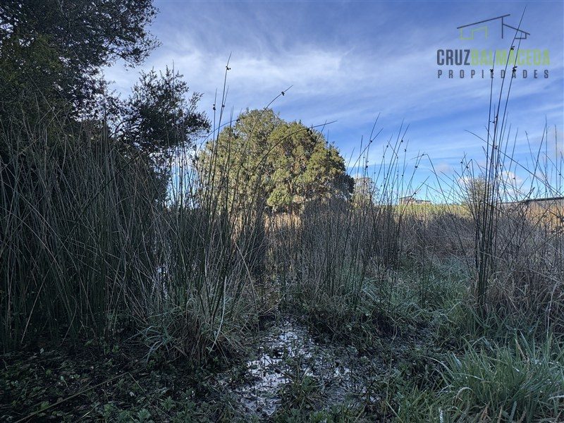 Parcela en venta en Puerto Varas — foto 3