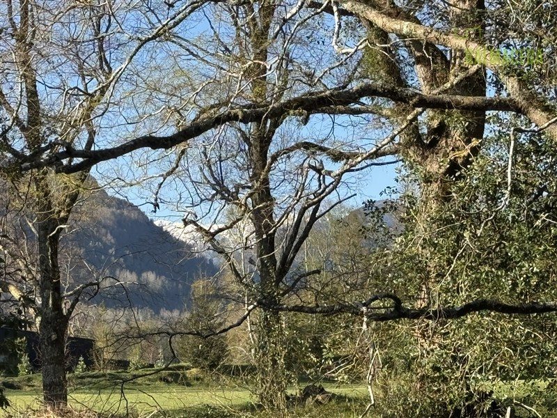 Parcela en venta en Panguipulli — foto 3