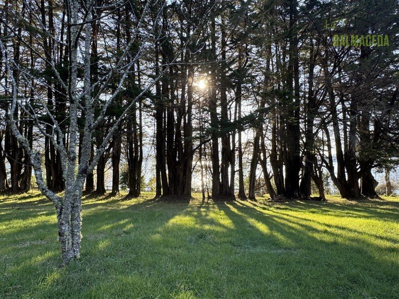 Parcela en venta en Panguipulli — foto 5