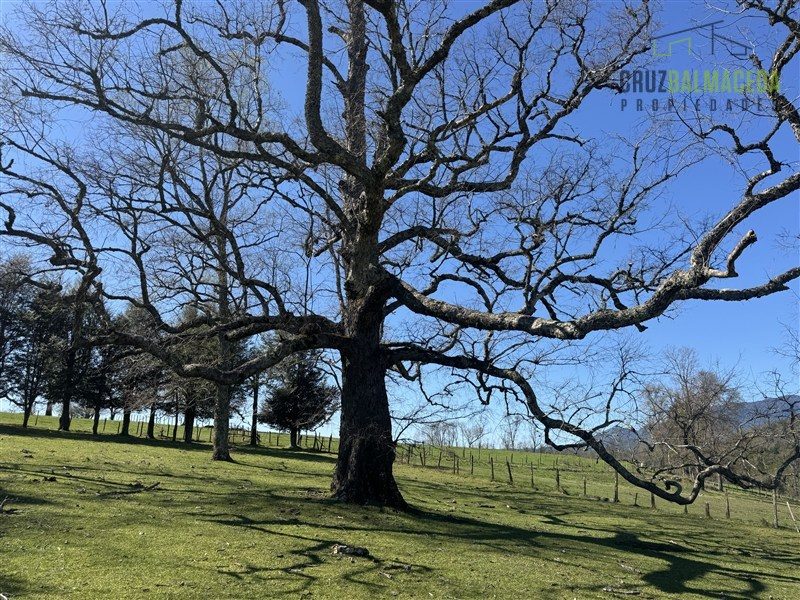 Parcela en venta en Panguipulli — foto 2