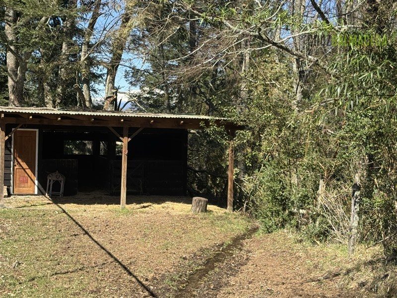 Parcela en venta en Panguipulli — foto 9