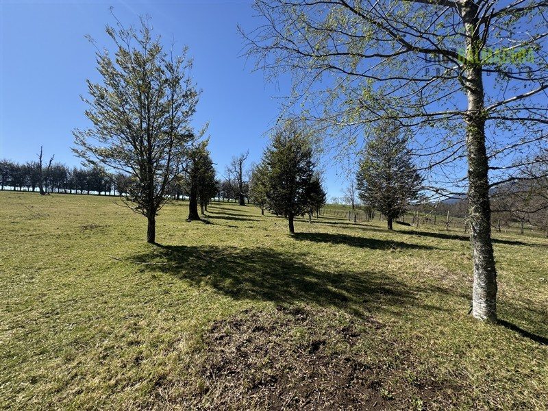 Parcela en venta en Panguipulli — foto 10