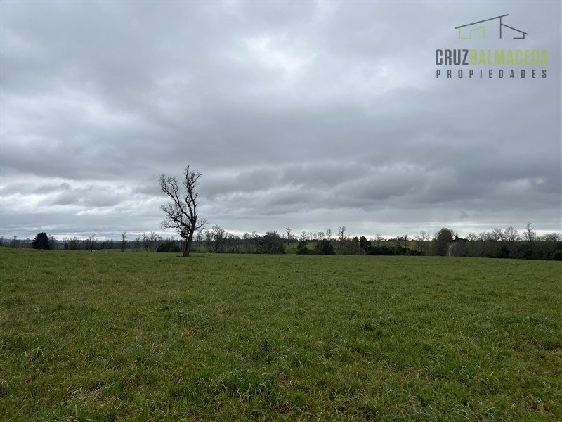 Parcela en venta en Fresia — foto 5
