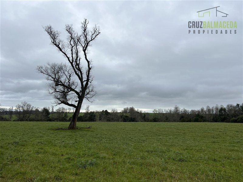 Parcela en venta en Fresia — foto 9