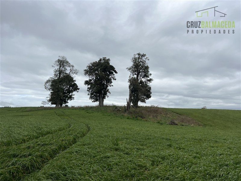 Parcela en venta en Frutillar — foto 1