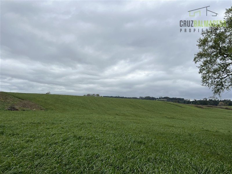 Parcela en venta en Frutillar — foto 3