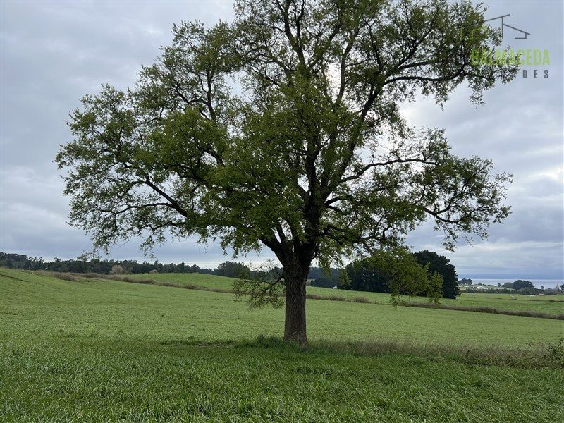 Parcela en venta en Frutillar — foto 4