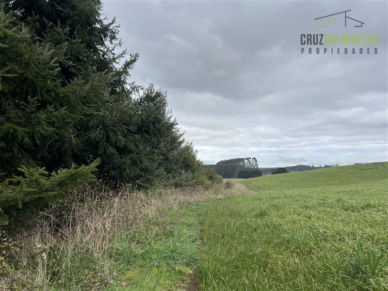 Parcela en venta en Frutillar — foto 5