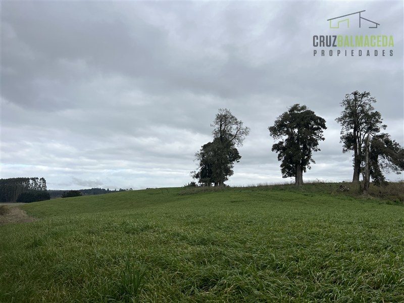 Parcela en venta en Frutillar — foto 8