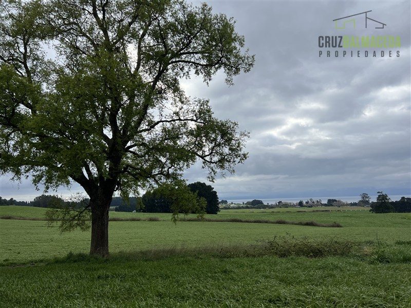 Parcela en venta en Frutillar — foto 10