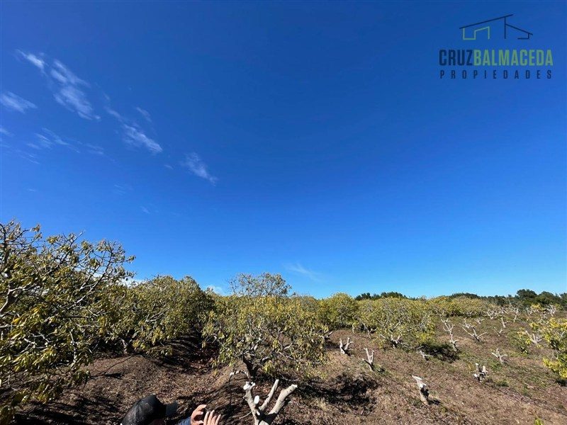 Terreno en venta en Santo Domingo — foto 1