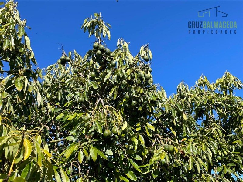 Terreno en venta en Santo Domingo — foto 2
