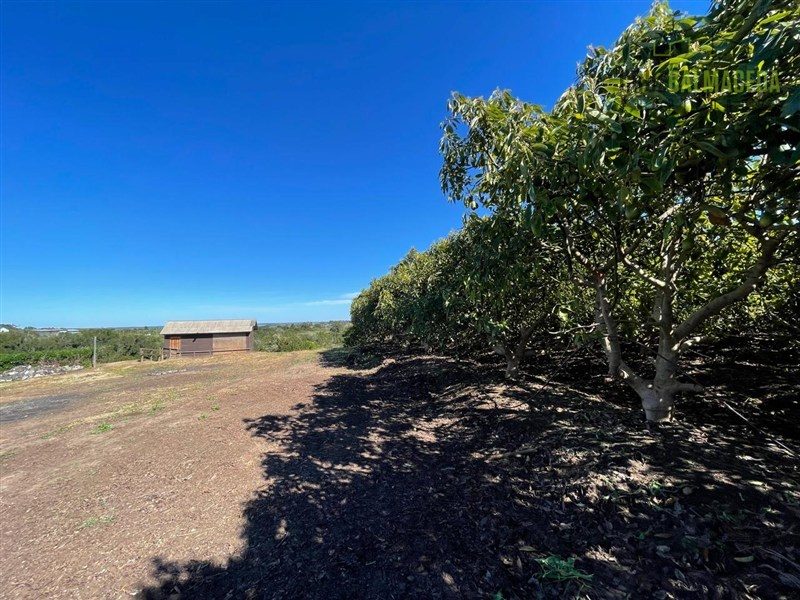 Terreno en venta en Santo Domingo — foto 3