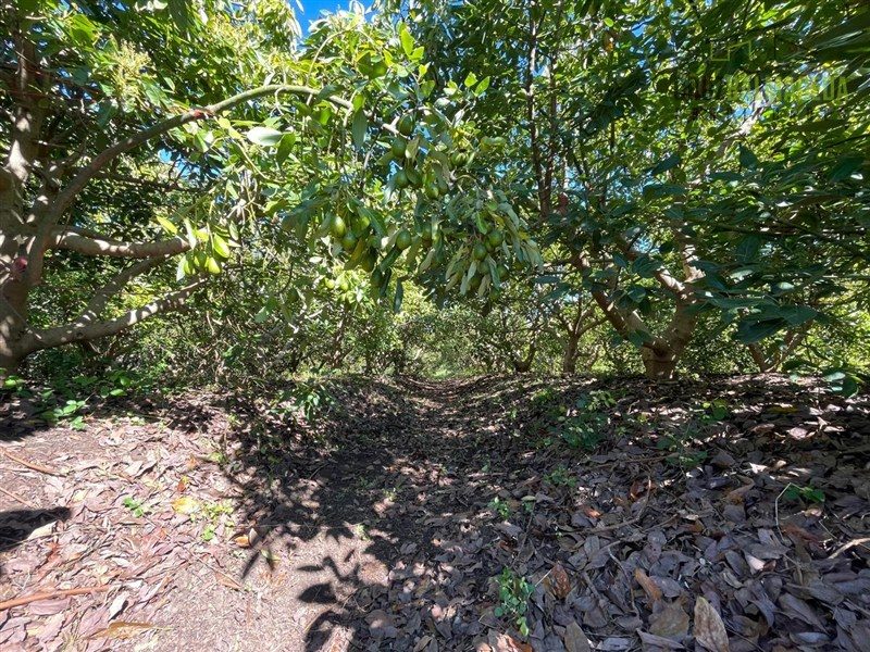 Terreno en venta en Santo Domingo — foto 4
