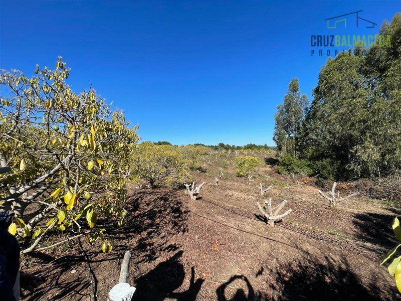 Terreno en venta en Santo Domingo — foto 5