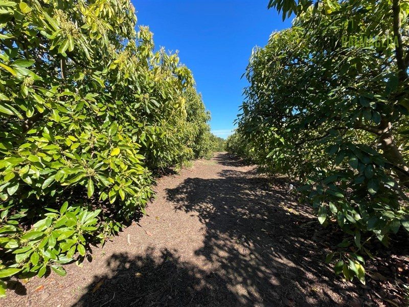 Terreno en venta en Santo Domingo — foto 7