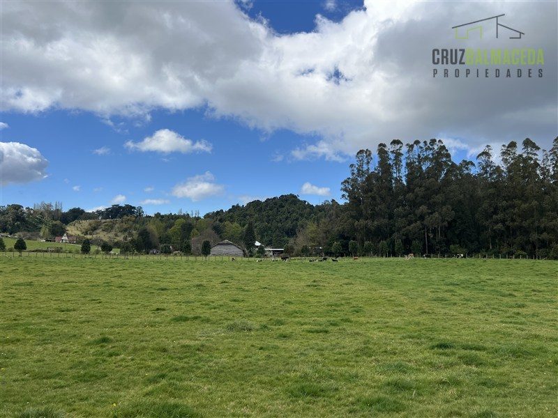Parcela en venta en Puerto Octay — foto 4