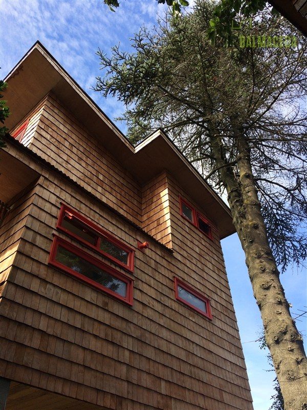 Local comercial en venta en Puerto Varas — foto 8