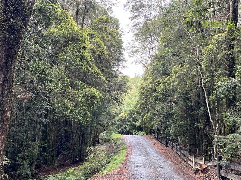 Parcela en venta en Puerto Varas — foto 3