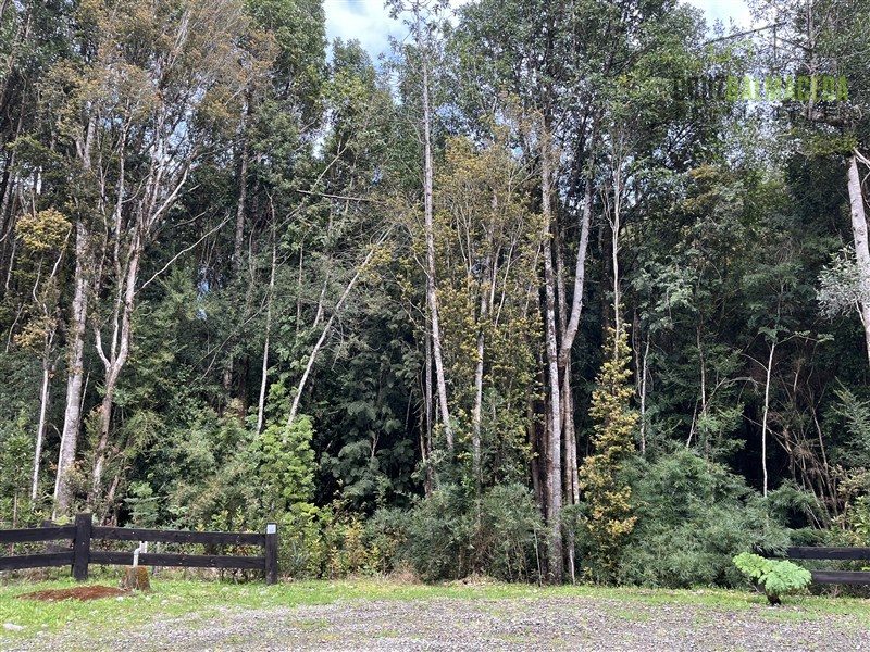 Parcela en venta en Puerto Varas — foto 6