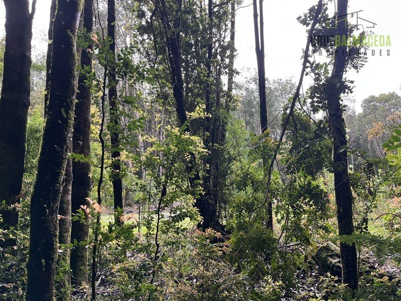 Parcela en venta en Puerto Varas — foto 8