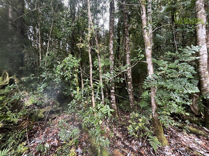 Parcela en venta en Puerto Varas — foto 9