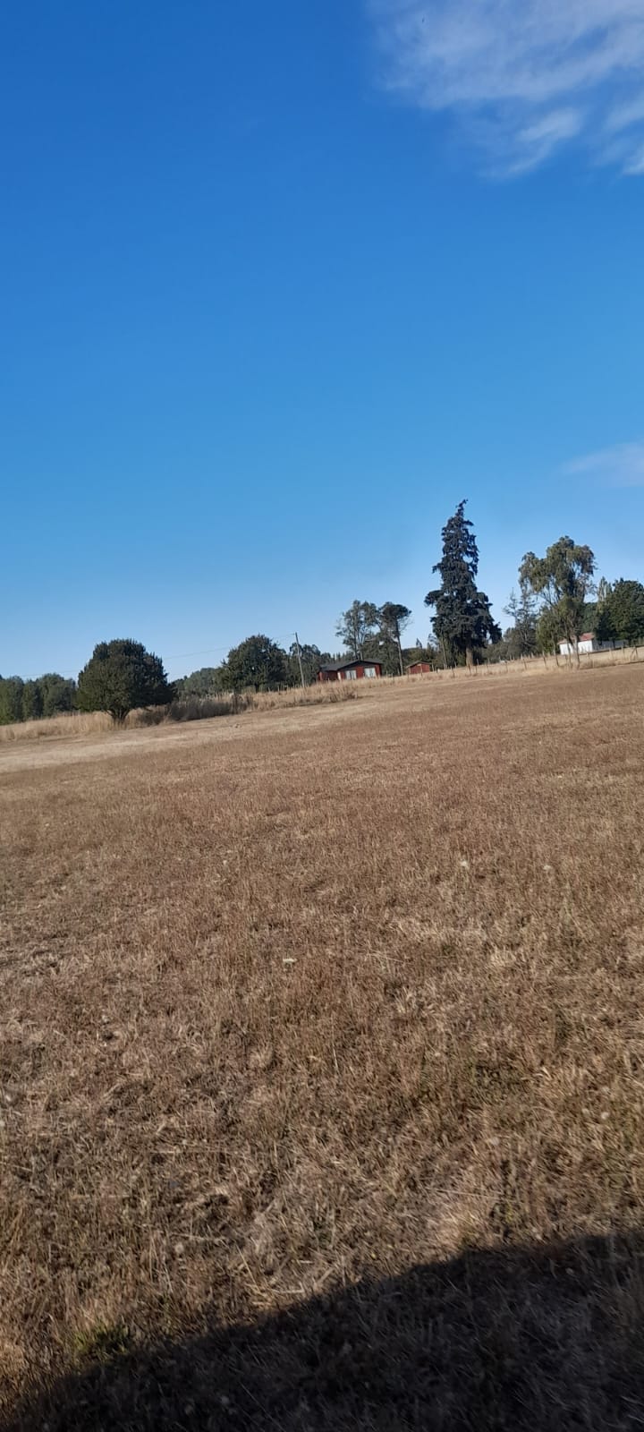 Parcela en venta en Freire — foto 4