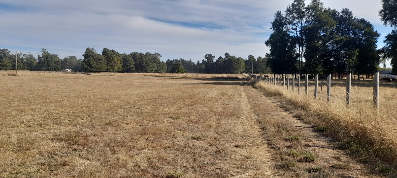 Parcela en venta en Freire — foto 8
