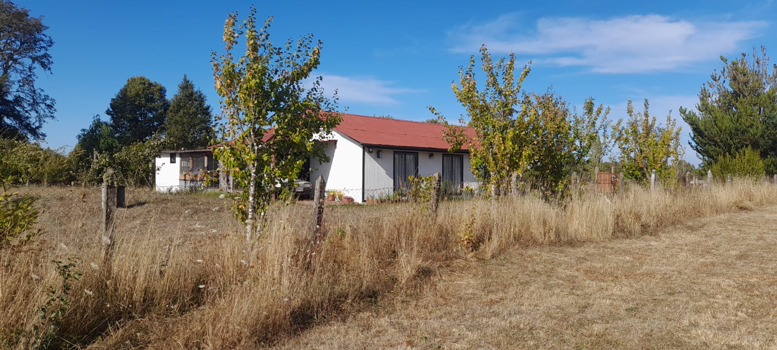 Parcela en venta en Freire — foto 9