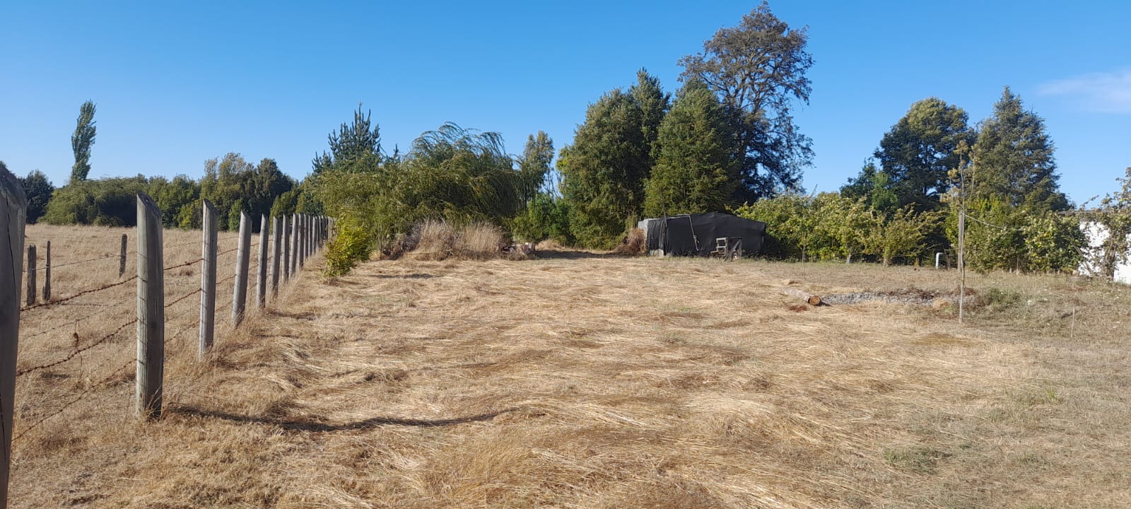 Parcela en venta en Freire — foto 10