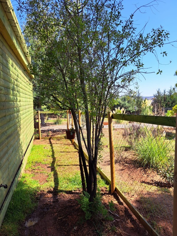 Parcela en venta en Puchuncaví — foto 5