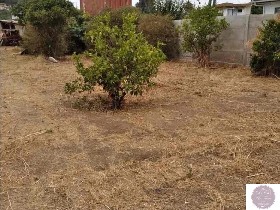 Terreno en venta en Villa Alemana — foto 3