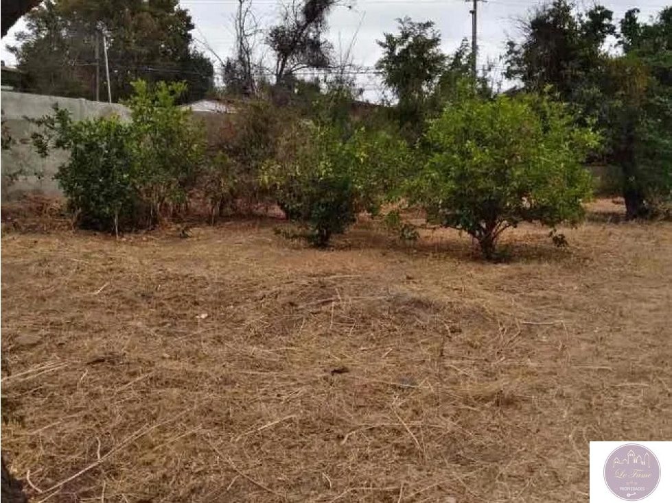 Terreno en venta en Villa Alemana — foto 4