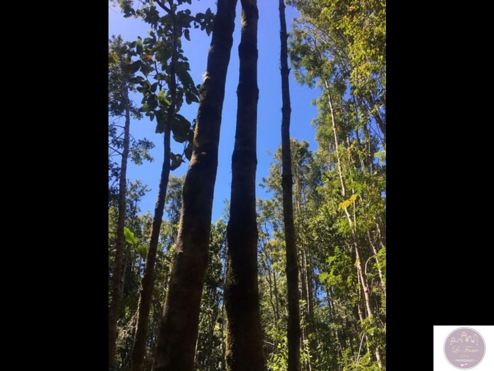 Terreno en venta en Castro — foto 2