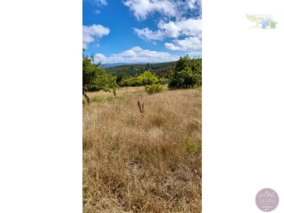 Campo en venta en Purranque — foto 7