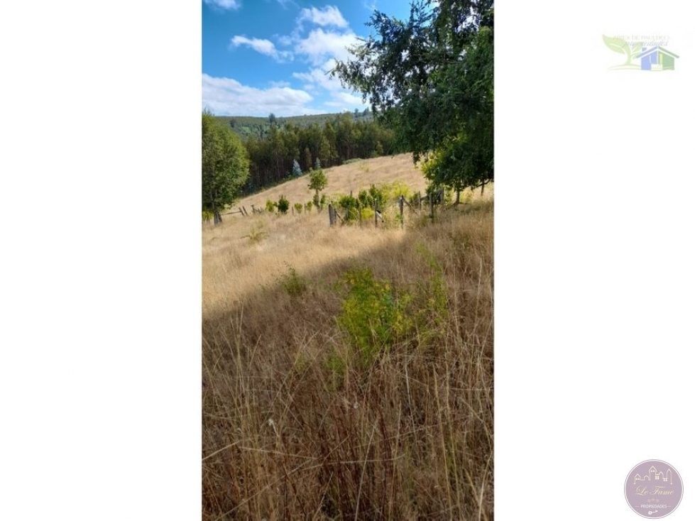 Campo en venta en Purranque — foto 9