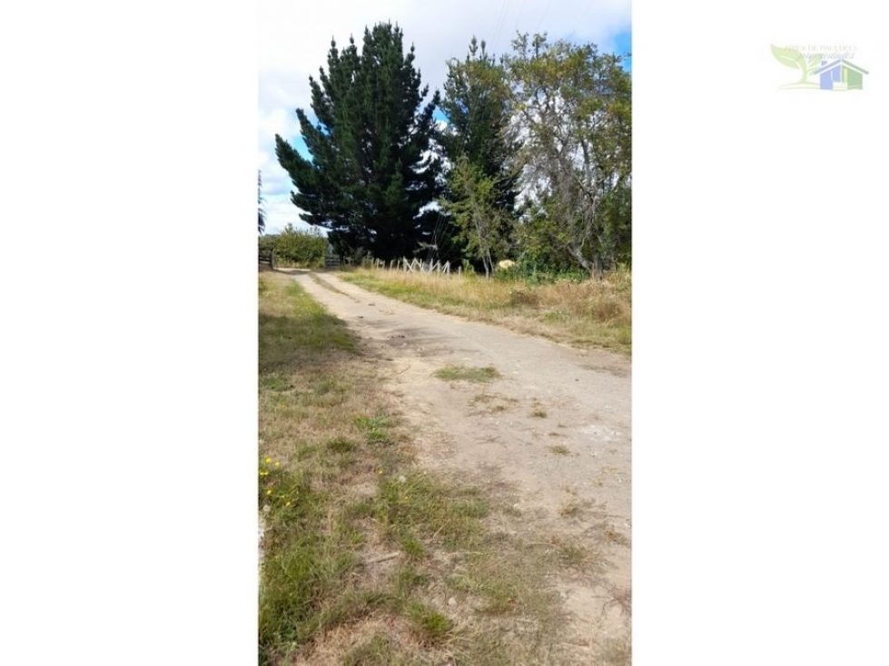 Campo en venta en Purranque — foto 10