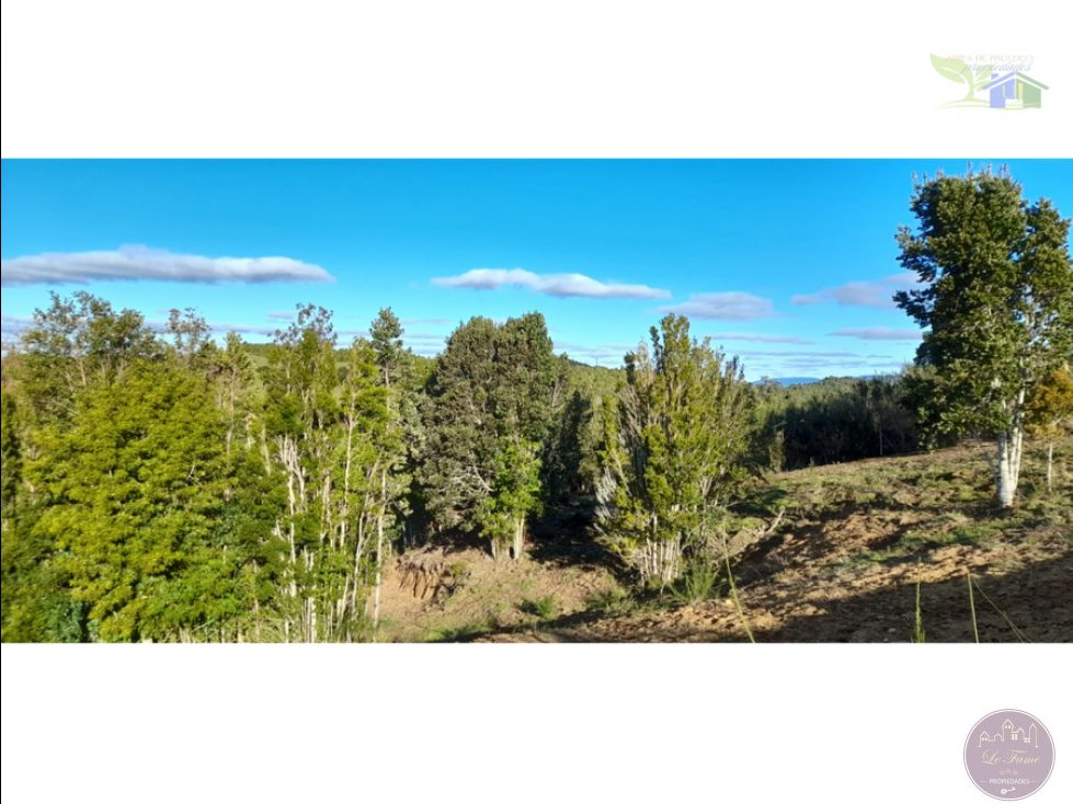 Campo en venta en Ancud — foto 1