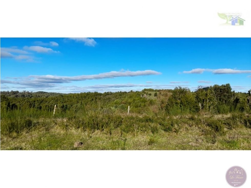 Campo en venta en Ancud — foto 2