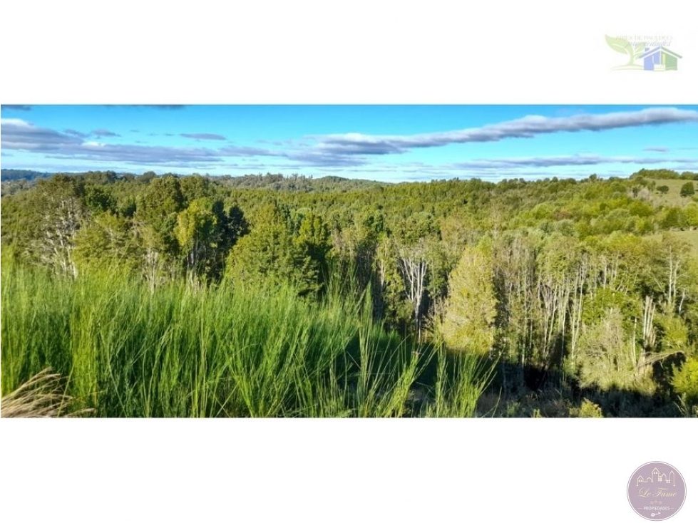 Campo en venta en Ancud — foto 3