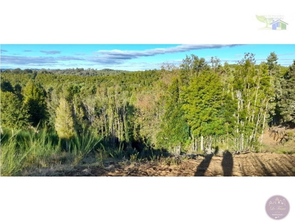 Campo en venta en Ancud — foto 9