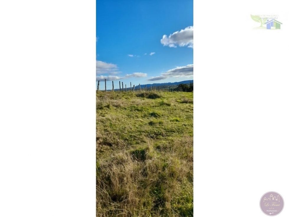 Campo en venta en Ancud — foto 10