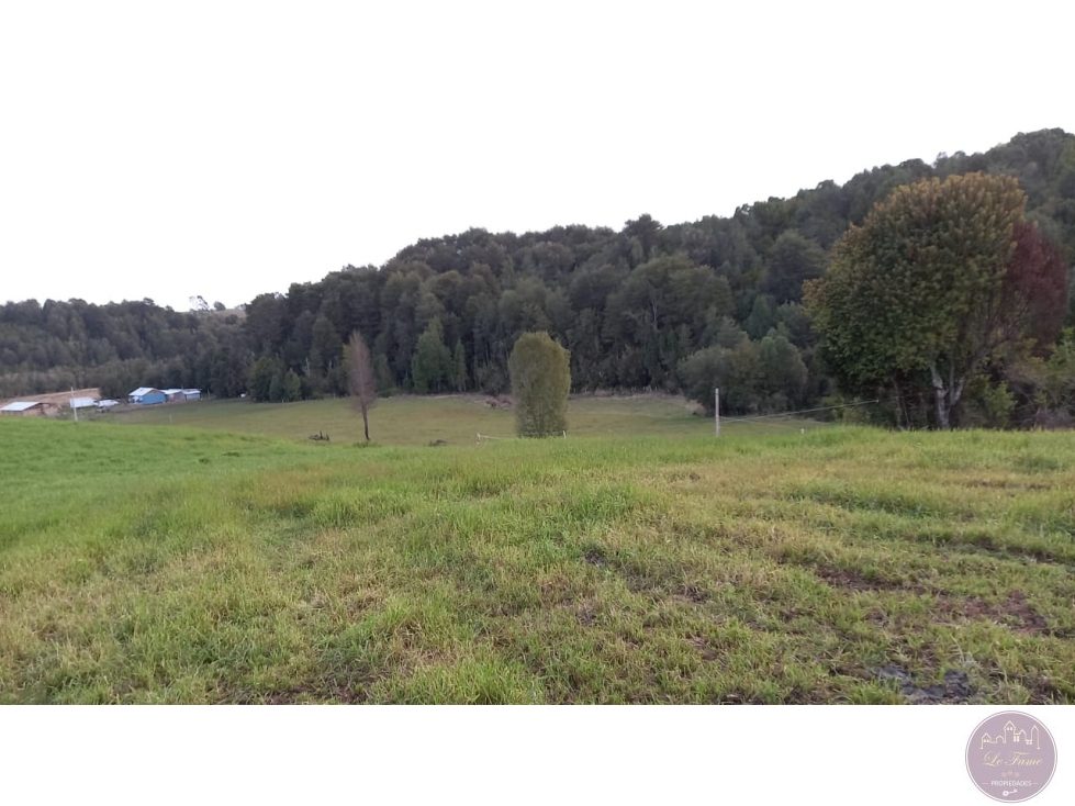 Parcela en venta en Los Muermos — foto 4