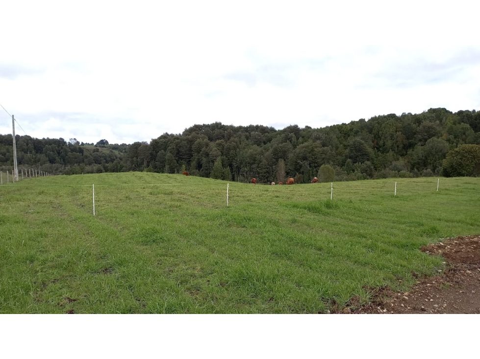 Parcela en venta en Los Muermos — foto 10